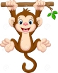 D:\Olesia\Aa конспекти уроків\Fly High 2\Form 2 Fly High\lphabet\50993708-cute-baby-monkey-hanging-on-tree.jpg